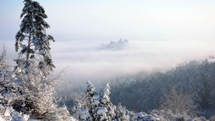 Nature winter snow trees wallpaper