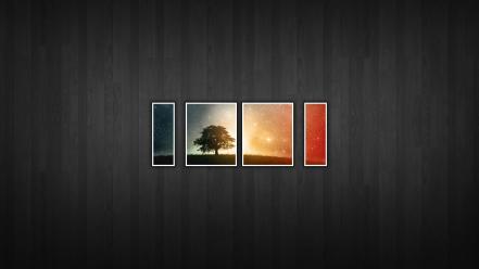 Sunset abstract trees design wallpaper