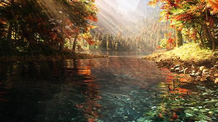 Water nature forest wallpaper