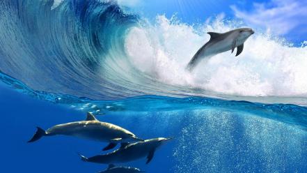 Water nature waves animals dolphins wallpaper
