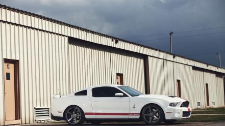 Ford muscle cars mustang white american shelby wallpaper