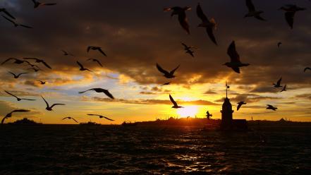 Istanbul sea wallpaper