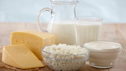 Milk food cheese wallpaper