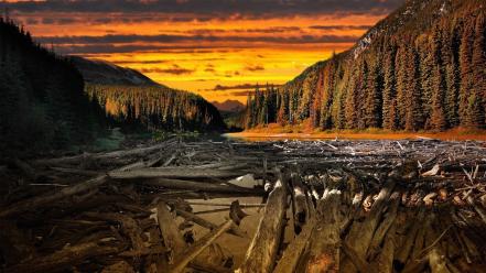 Sunset landscapes wood earth rivers wallpaper