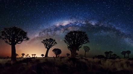 Trees milky way africa wallpaper