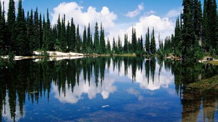 Water landscapes nature coast trees canada transparent wallpaper