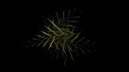 Abstract needles pine black background widescreen fractal art wallpaper