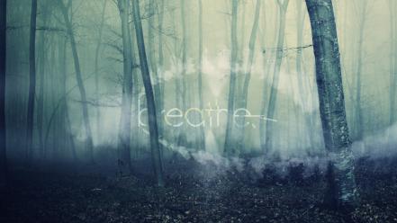 Blue trees forests text fog mist wallpaper