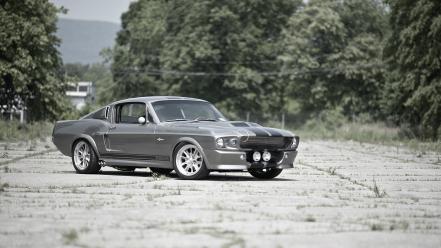 Cars shelby gt500 wallpaper