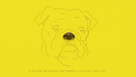 Minimalistic text dogs funny artwork brock wallpaper