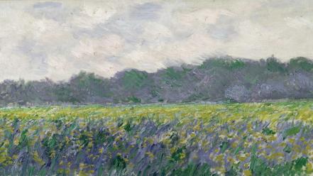 Paintings fields giverny claude monet irises impressionism wallpaper