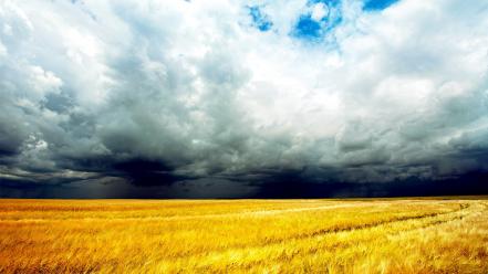 Clouds storm fields wheat wallpaper