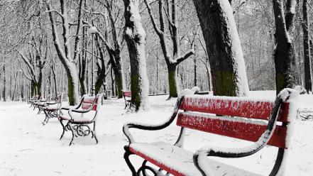 Landscapes nature winter snow trees bench wallpaper