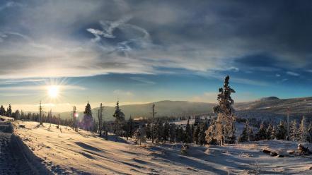 Landscapes winter snow trees wallpaper