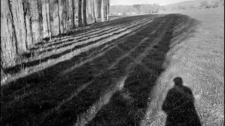 Trees france shadows grayscale henri cartier-bresson landspaces wallpaper