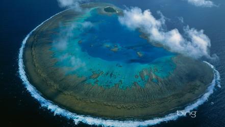 Great barrier reef bing lady musgrave island wallpaper