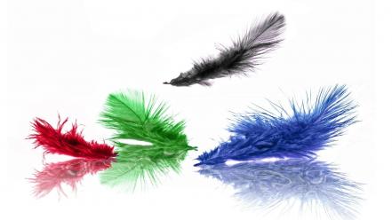 Green blue black red artistic feathers wallpaper