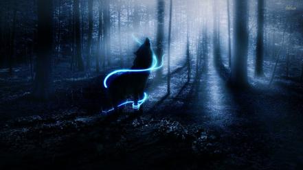 Forests wolves wallpaper