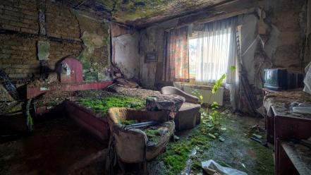 Green room interior abandoned house growing wallpaper