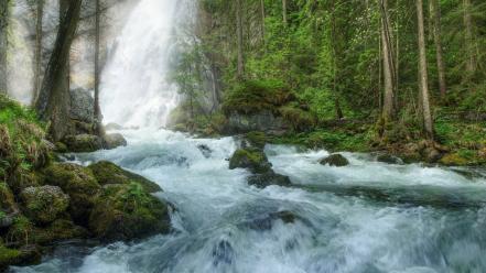 Nature forest waterfalls rivers wallpaper