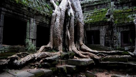 Ruins cambodia angkor wat site old places wallpaper