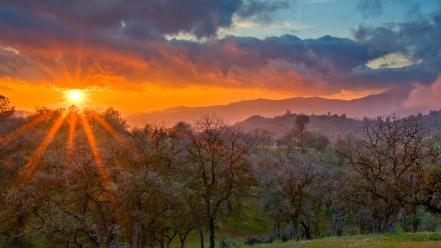 Sunset california spring wallpaper