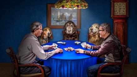 Animals poker dogs funny artwork wallpaper