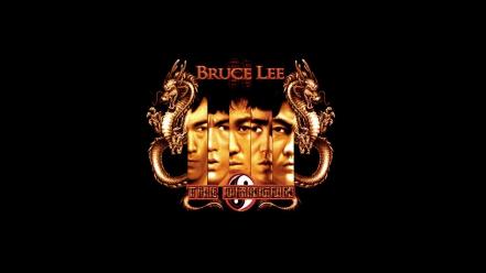 Bruce lee dragons fist of the dragon wallpaper