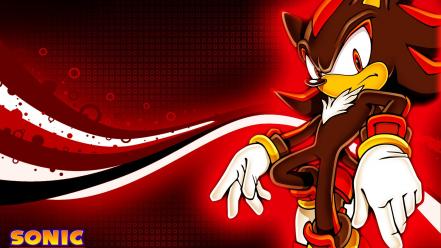 Hedgehog video games shadow game characters team wallpaper