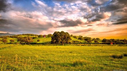 Landscapes nature grass country natural pasture wallpaper