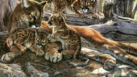 Nature family animals puma wild mountain lions cougar wallpaper