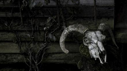 Skulls plants paganism wallpaper