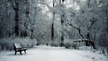 Snow trees bench parks wallpaper
