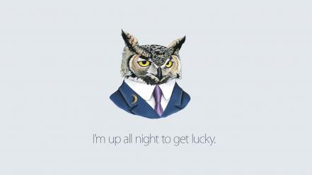 Suit quotes owls simple background get lucky wallpaper