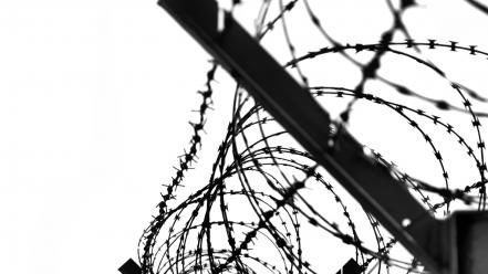 Barbed wire wallpaper