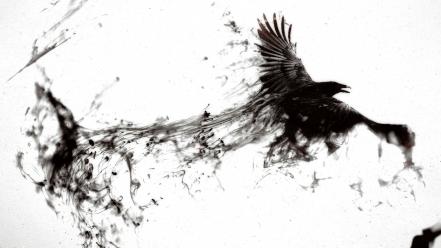 Dark black bird messenger wallpaper