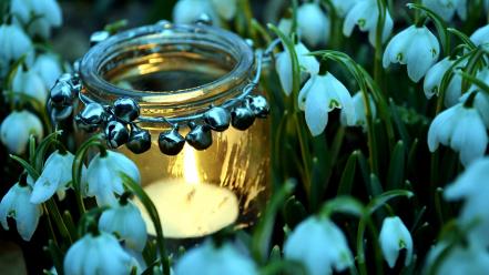 Flowers candles snowdrops white jars wallpaper