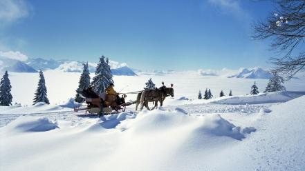 Landscapes snow horses switzerland sleds bing wallpaper