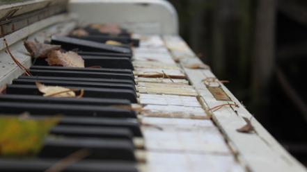 Piano abandoned fallen leaves wallpaper