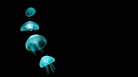 Black minimalistic animals jellyfish wallpaper