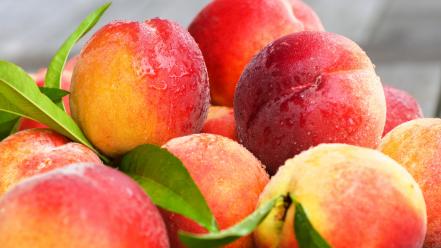 Fruits peaches peach wallpaper