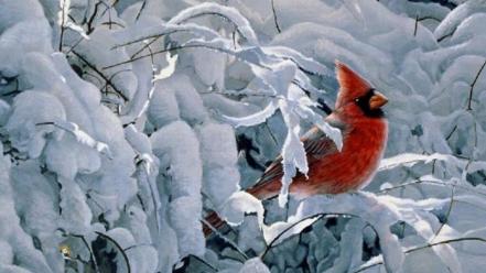 Winter birds cardinal northern wallpaper