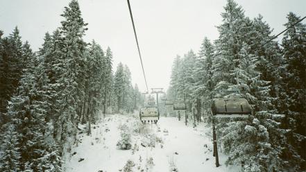 Winter snow trees forests ropeway pine wallpaper