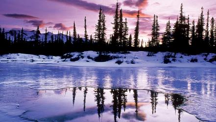 Landscapes nature snow trees lakes reflections wallpaper