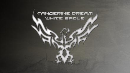Band tangerine dream white eagle electronic music wallpaper