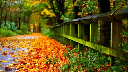 Beautiful autumn pictures wallpaper