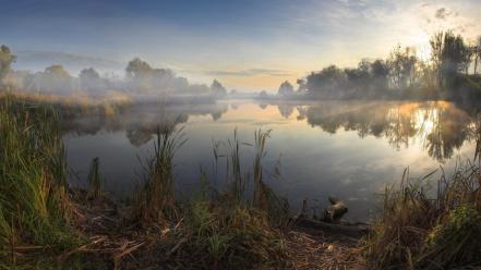 Landscapes nature trees morning lakes sun rays dawning wallpaper