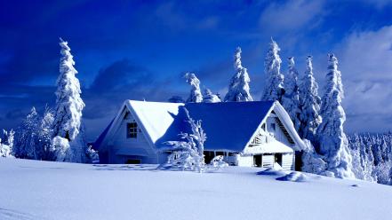 Paintings winter snow trees houses wallpaper