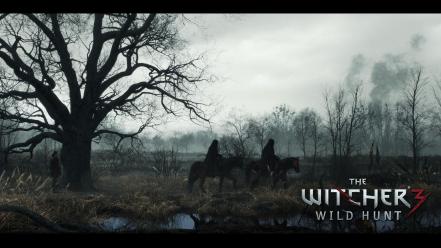 The witcher 3: wild hunt video games wallpaper