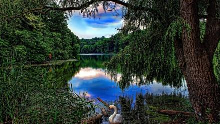 Hdr photography nature wallpaper